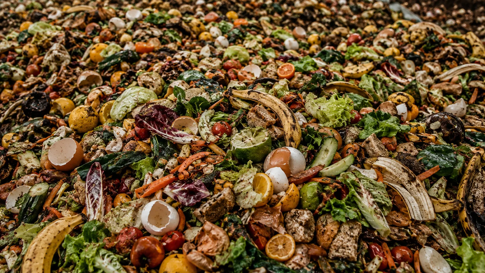Food waste input
